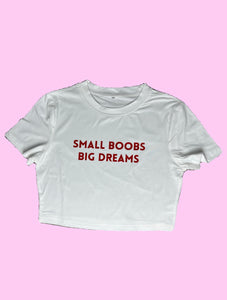 Small Boobs Big Dreams - Crop Tshirt